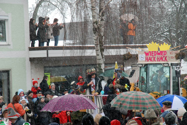 faschingszug2010039