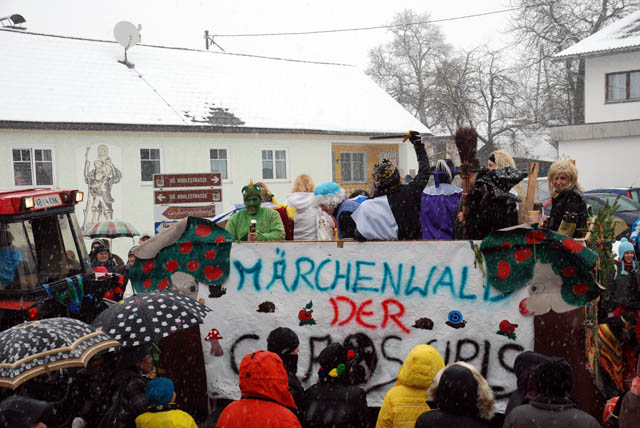 faschingszug2010090