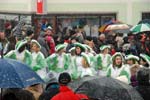 faschingszug2010037