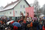 faschingszug2010124